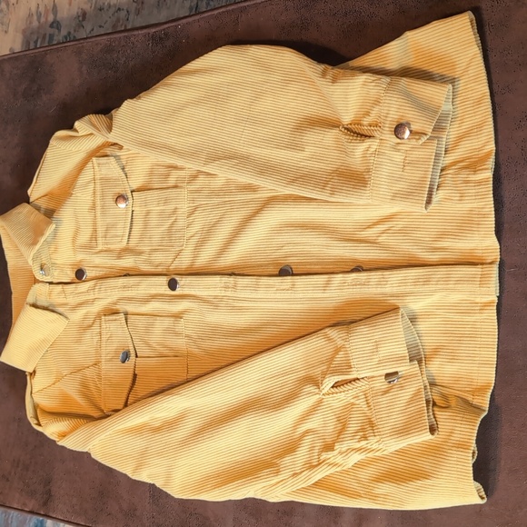 Light corduroy shirt - Picture 12 of 12